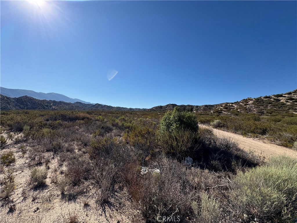 4292 Davis Ranch Road Property Photo 4