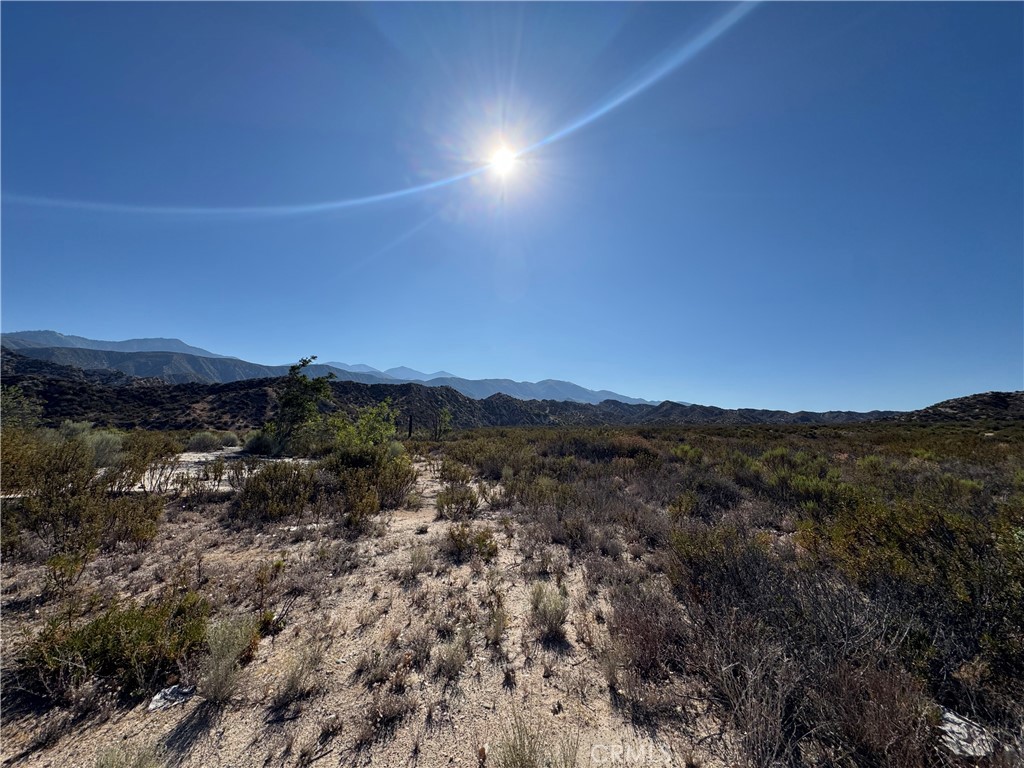 4292 Davis Ranch Road Property Photo 5