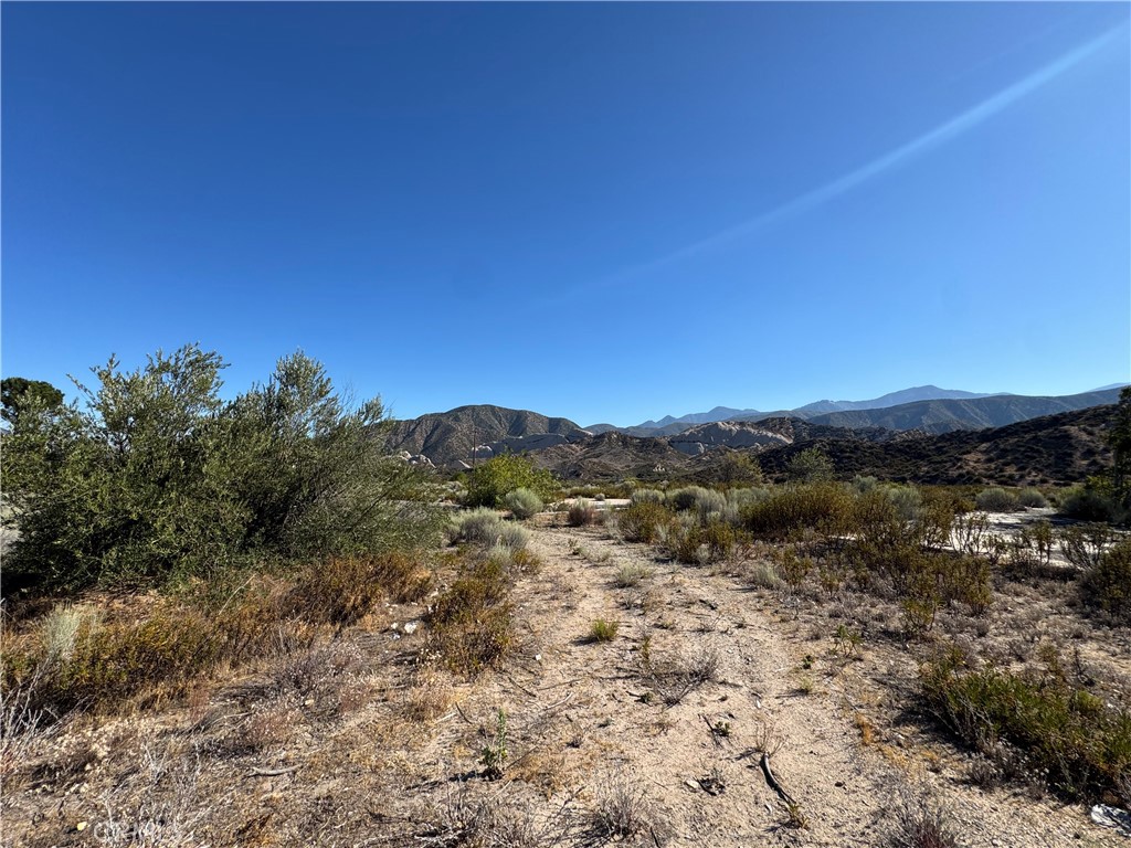4292 Davis Ranch Road Property Photo 6