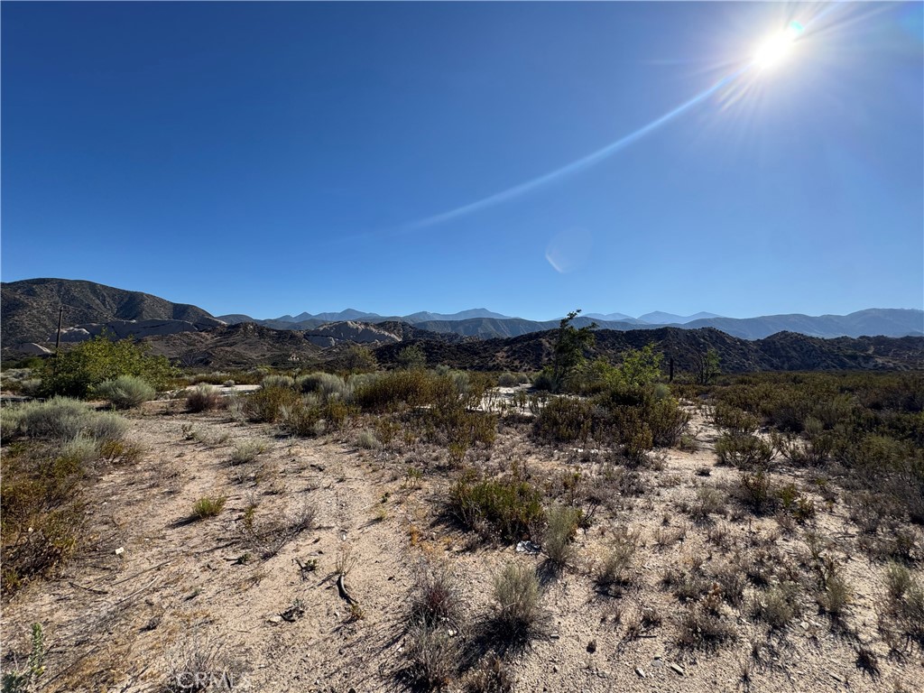 4292 Davis Ranch Road Property Photo 7