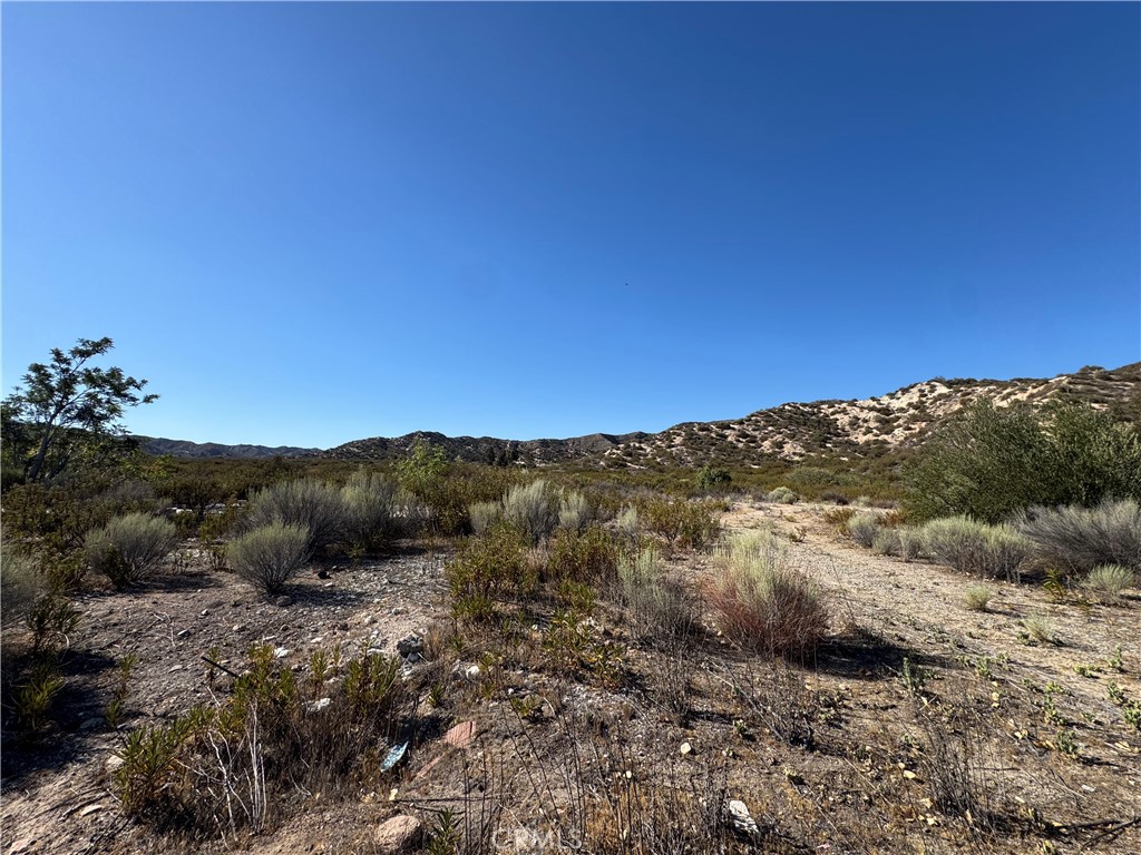 4292 Davis Ranch Road Property Photo 8