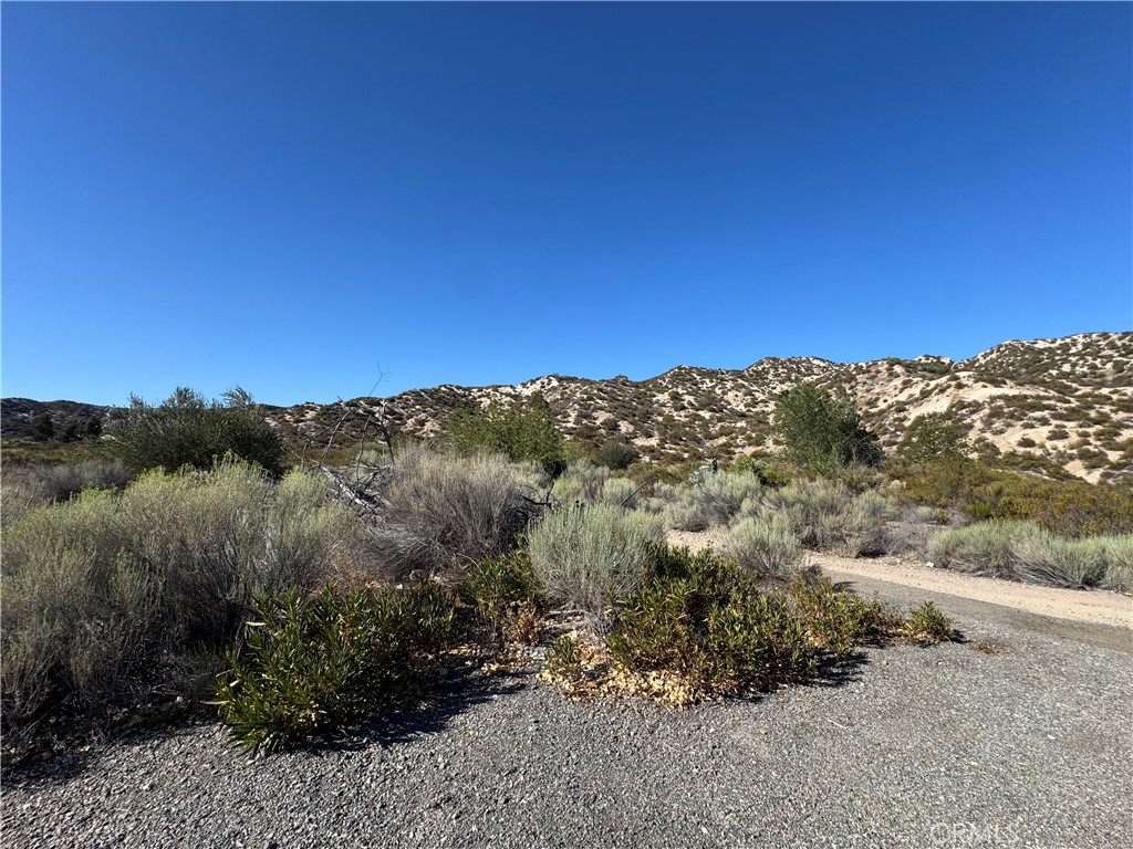 4292 Davis Ranch Road Property Photo 11