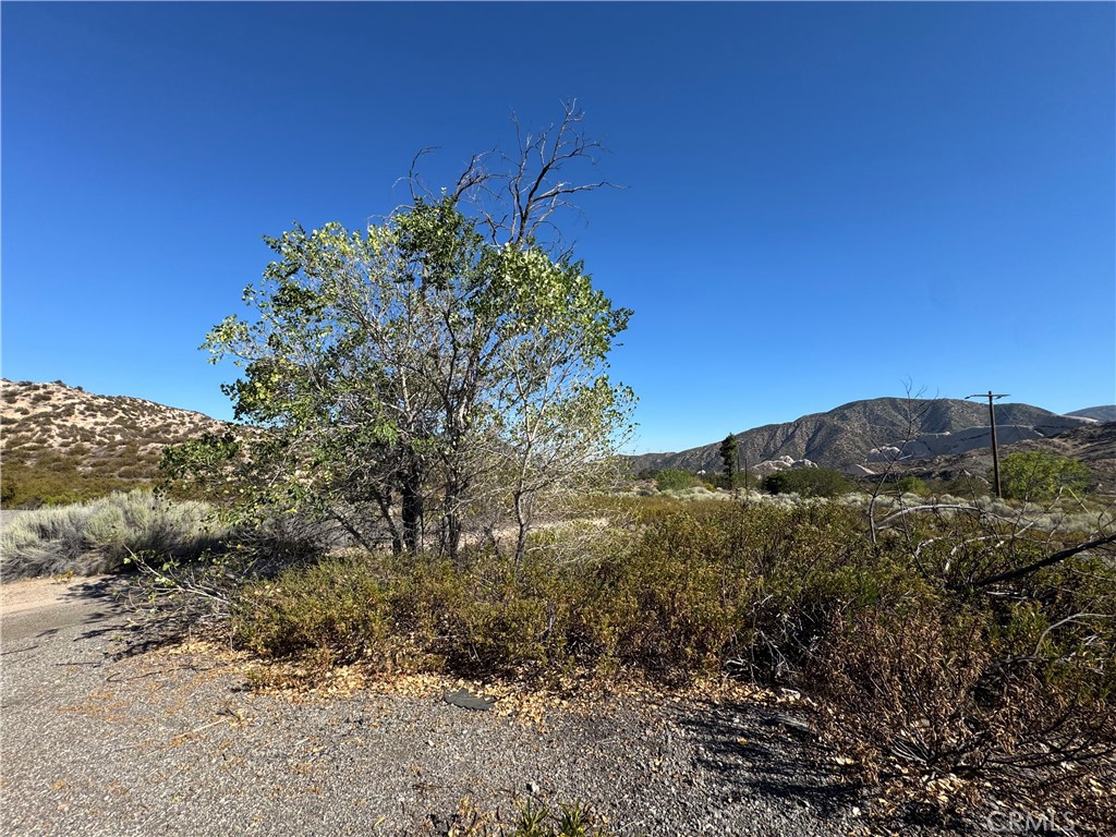 4292 Davis Ranch Road Property Photo 13
