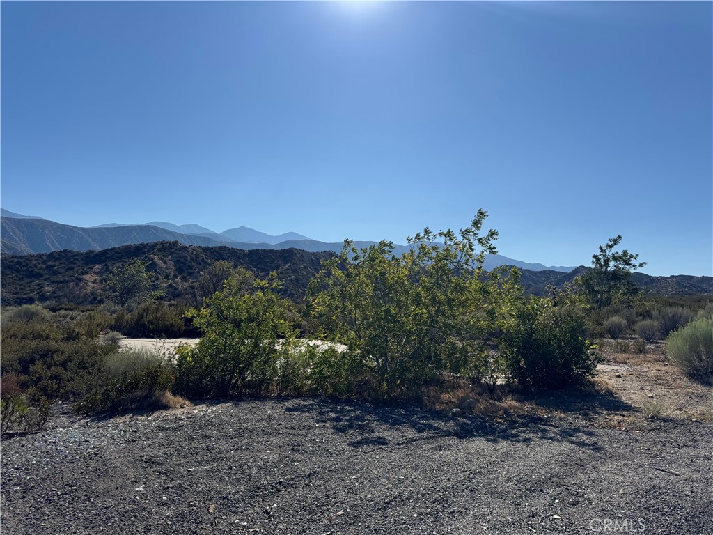 4292 Davis Ranch Road Property Photo 17