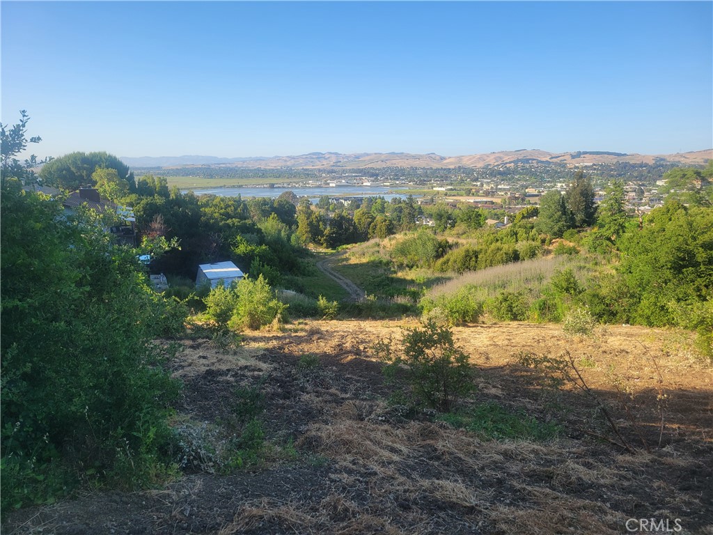 110 Harrier Ave Property Photo 1