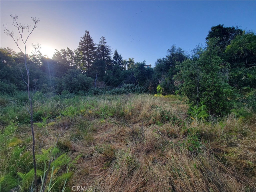 112 Harrier Ave Property Photo 6