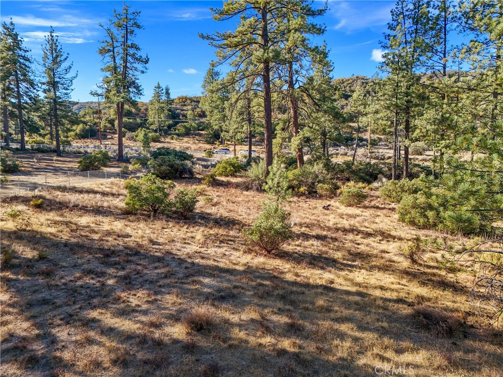 1 Pipe Creek Road Property Photo 1