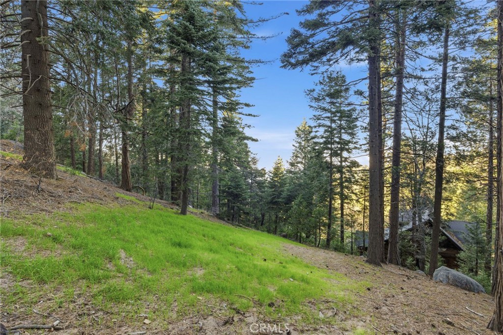 1349 Valley View Property Photo 43