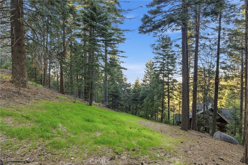 1349 Valley View Property Photo 43