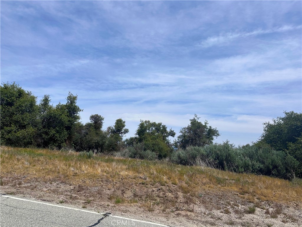 24680 Jacaranda Property Photo 4
