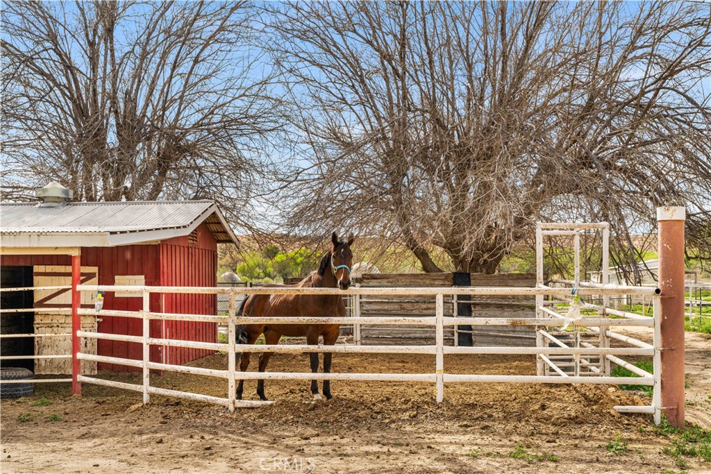 14433 Roy Rogers Ranch Property Photo 21