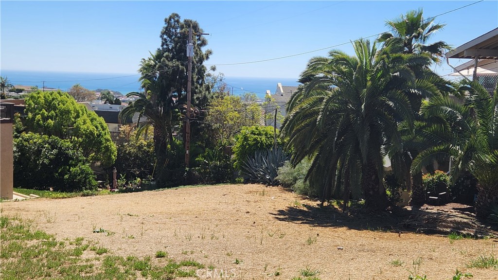 25022 Selva Property Photo 3