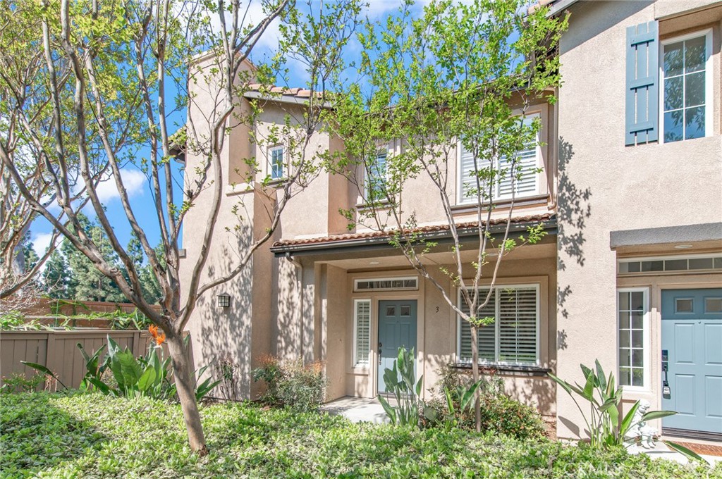 3 Ardmore Property Photo 36
