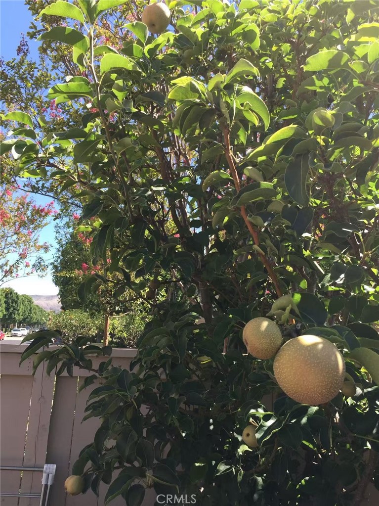 3 Ardmore Property Photo 40