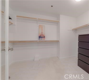 37 Waldorf Property Photo 21