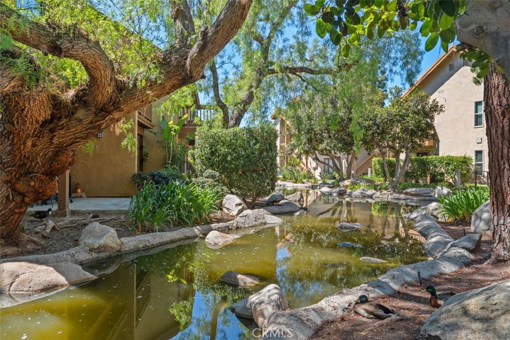 89 Lemon Grove Property Photo 29