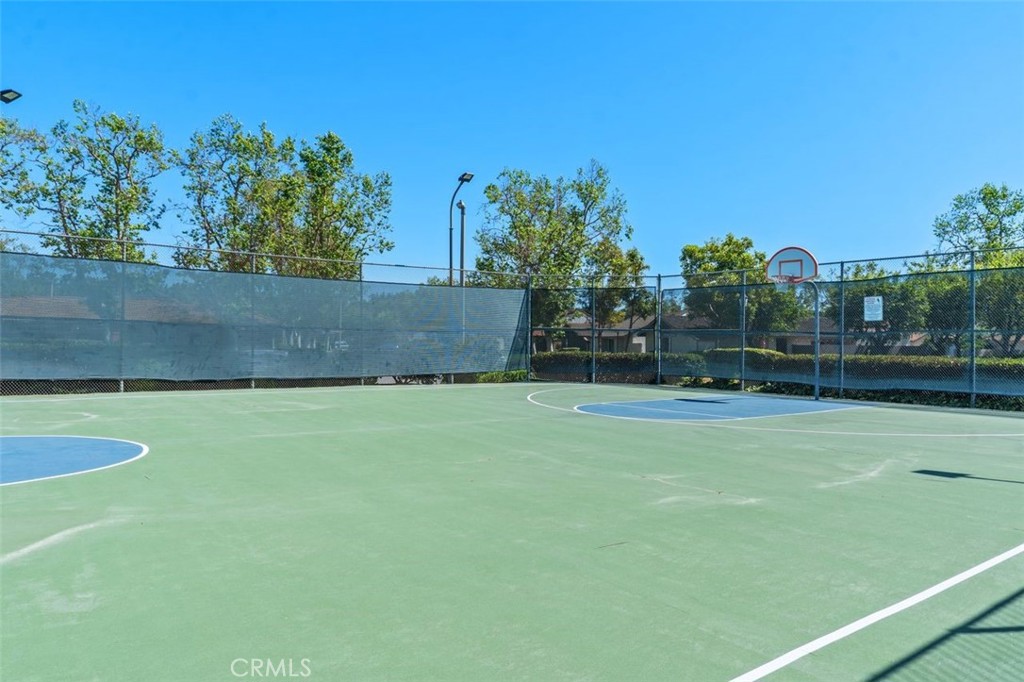 89 Lemon Grove Property Photo 33
