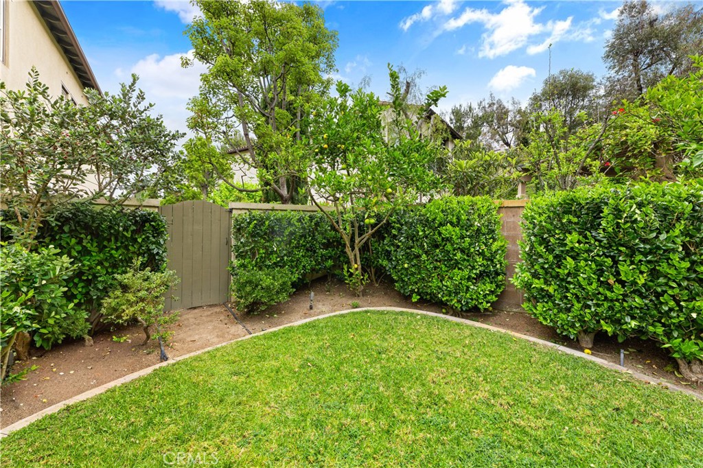26 View Terrace Property Photo 67