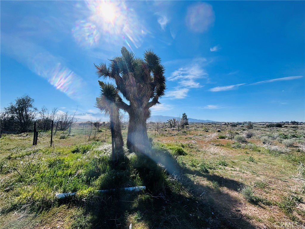 10024 Anderson Ranch Property Photo 31