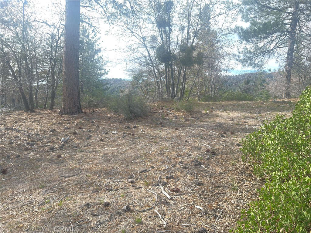 0 Hardy Property Photo 2