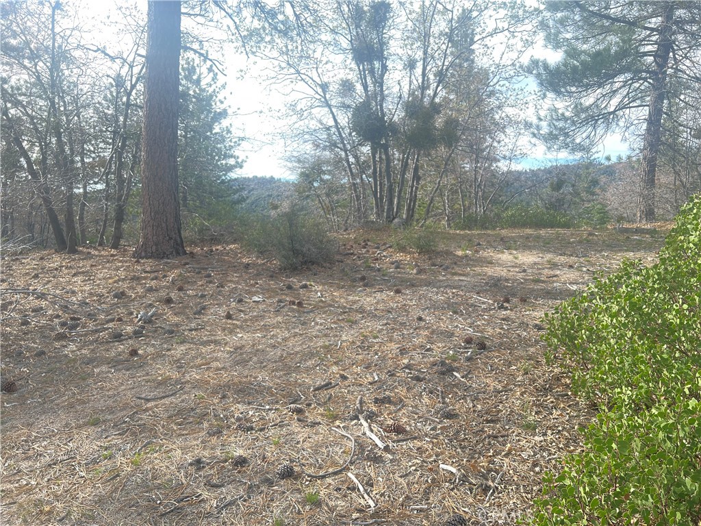 0 Hardy Property Photo 3
