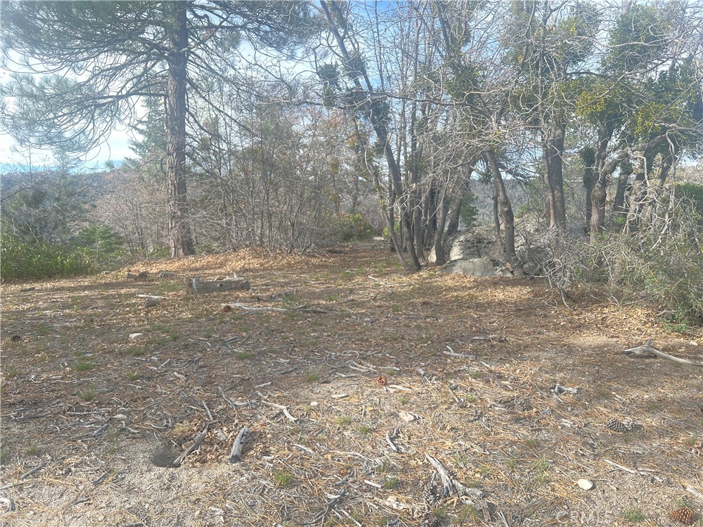 0 Hardy Property Photo 4