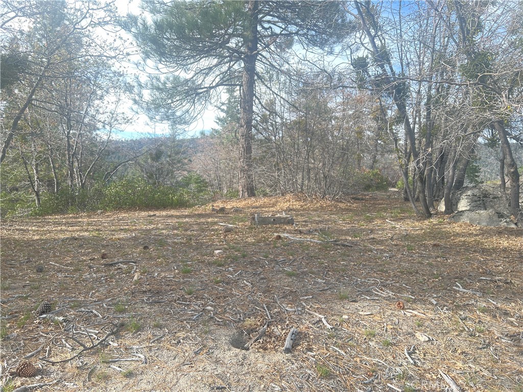 0 Hardy Property Photo 5