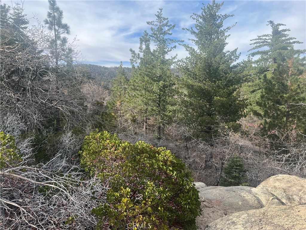 0 Hardy Property Photo 2