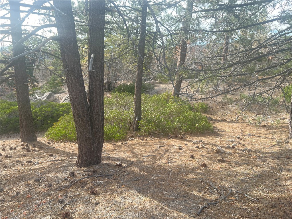 0 Hardy Property Photo 3