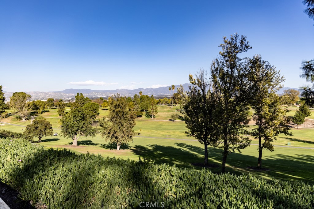 2313 Via Puerta Q Property Photo 31