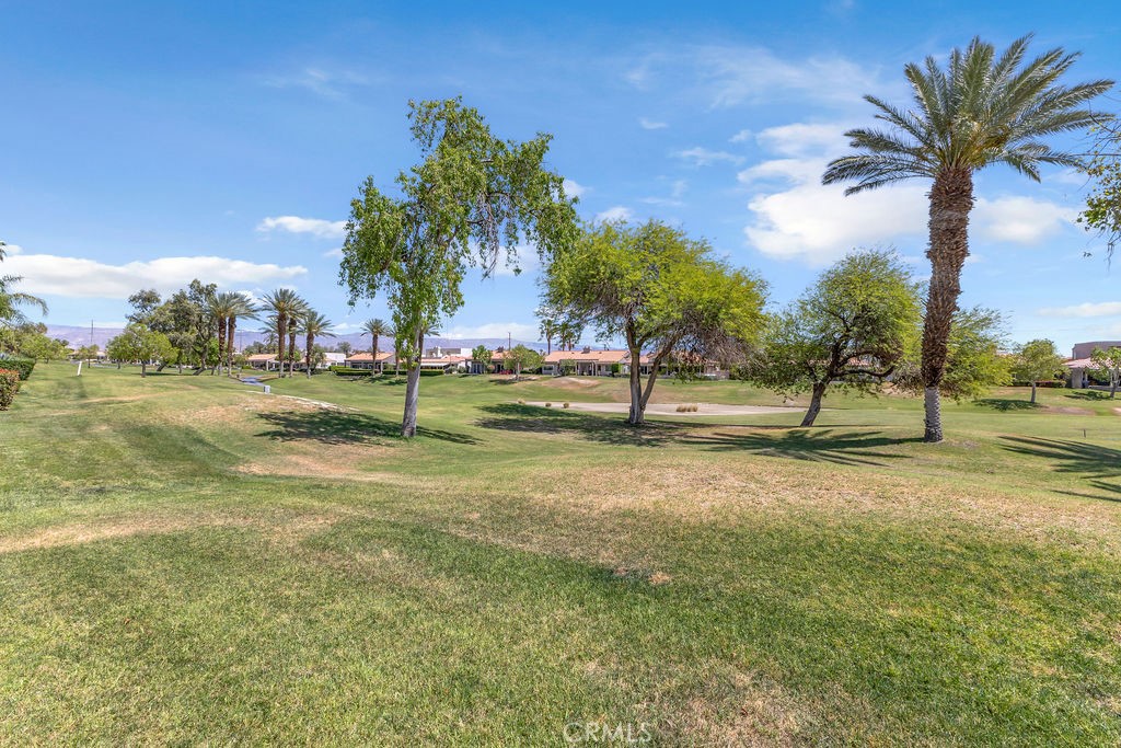 28 Oak Tree Property Photo 31