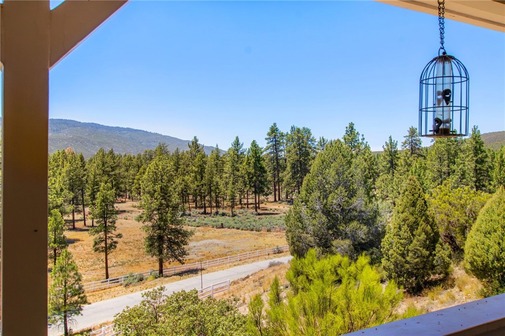 36350 Butterfly Peak Property Photo 7