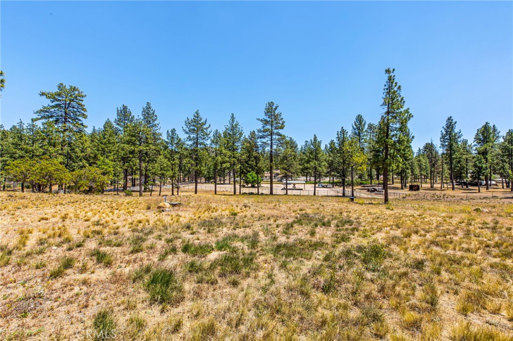 36350 Butterfly Peak Property Photo 41