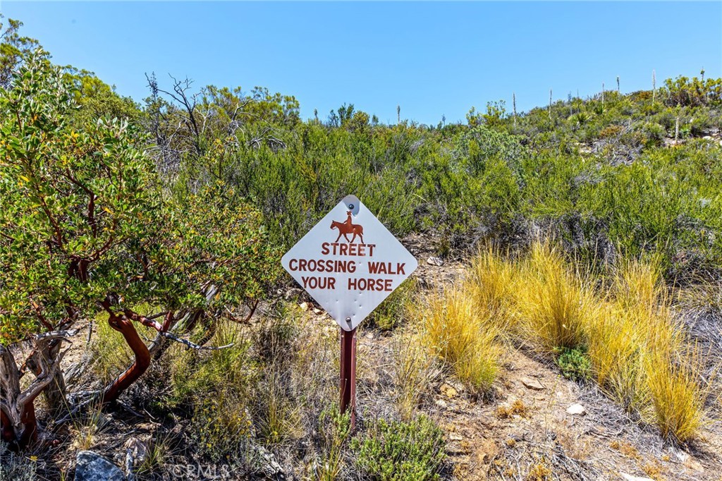 36350 Butterfly Peak Property Photo 42