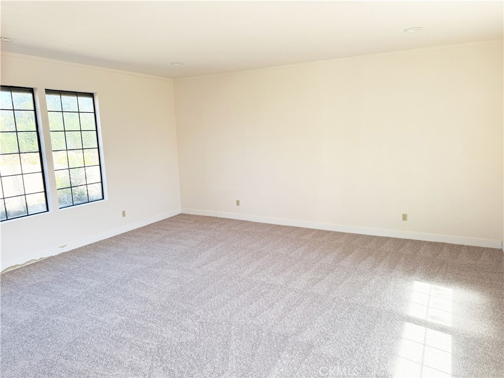 44775 De Luz Rd Property Photo 17