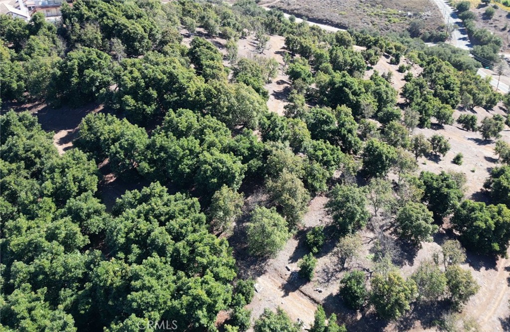44775 De Luz Rd Property Photo 58
