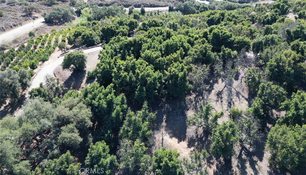 44775 De Luz Rd Property Photo 61