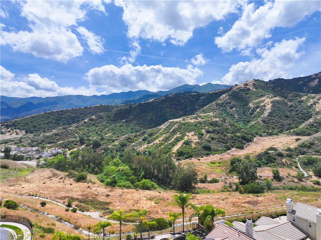 22470 Amber Eve Property Photo 32