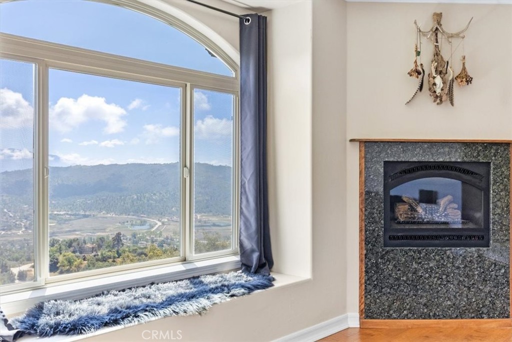 25250 Deertrail Property Photo 28