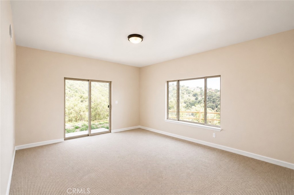 25250 Deertrail Property Photo 42