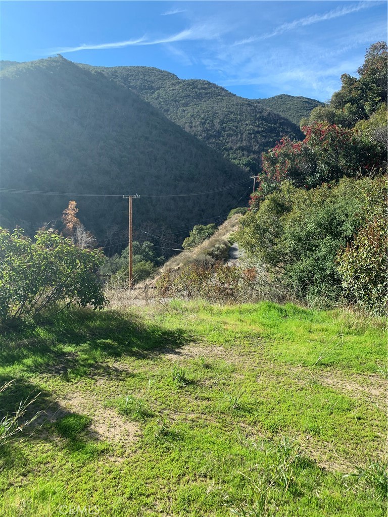 30409 Silverado Canyon Road Property Photo 1