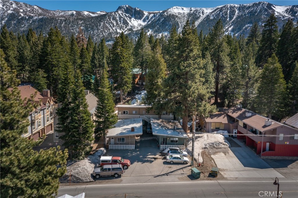 1801 Old Mammoth Property Photo 1
