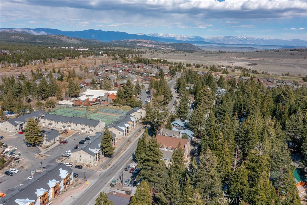 1801 Old Mammoth Property Photo 20