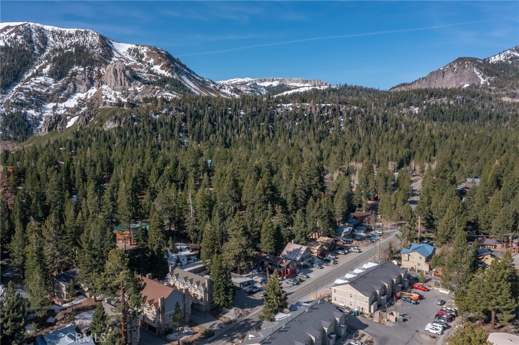 1801 Old Mammoth Property Photo 21