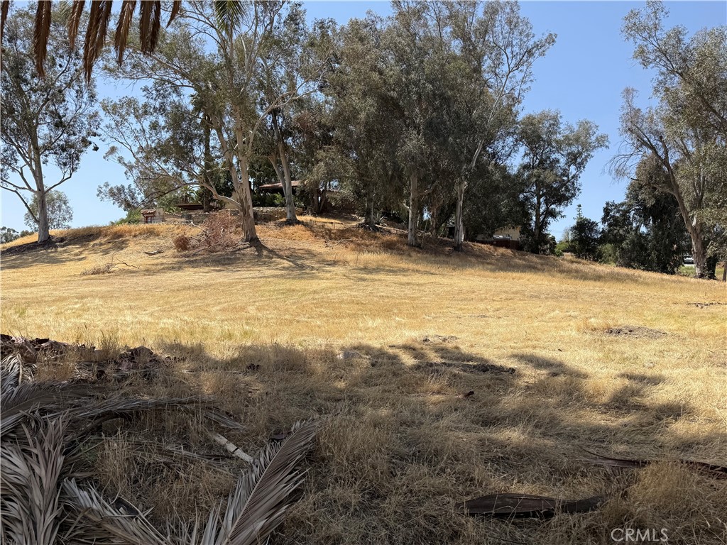 16688 Gunnerson Property Photo 1