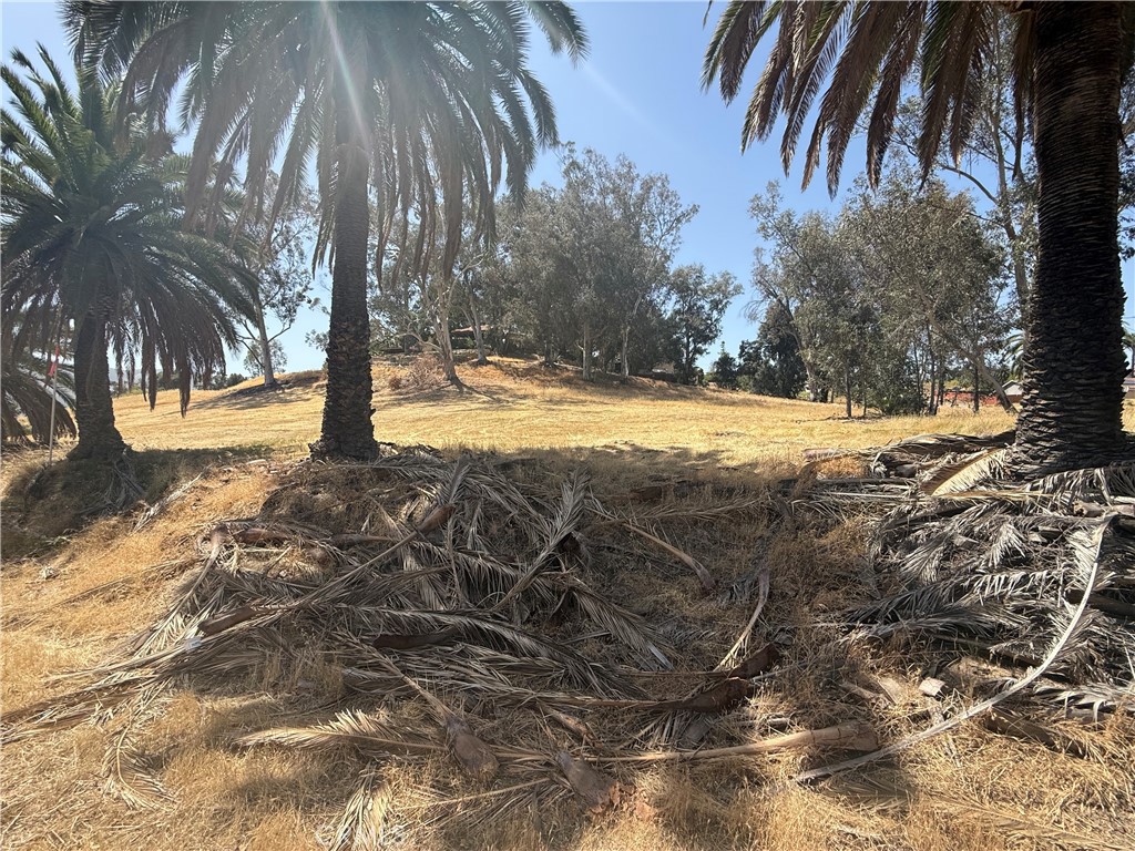 16688 Gunnerson Property Photo 2