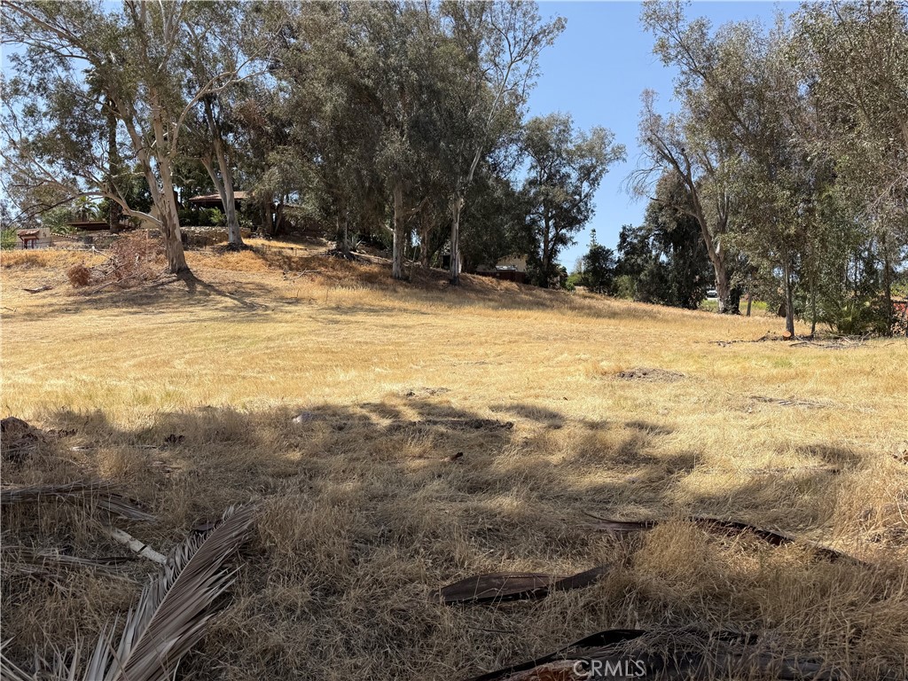16688 Gunnerson Property Photo 3