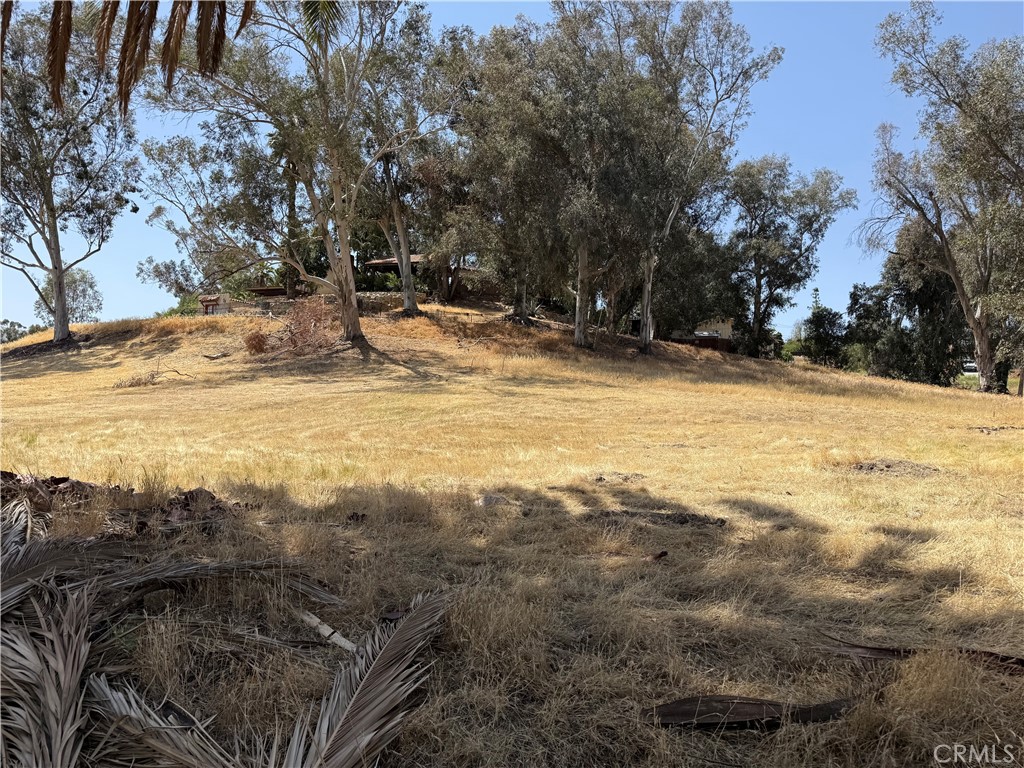 16688 Gunnerson Property Photo 3
