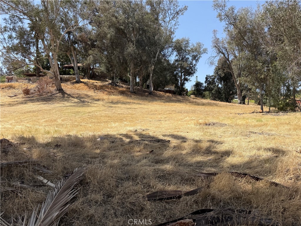 16688 Gunnerson Property Photo 5