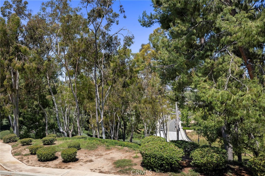 22342 Caminito Escobedo Property Photo 2